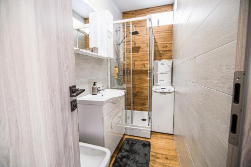 Koupelna v ubytování Apartment A1