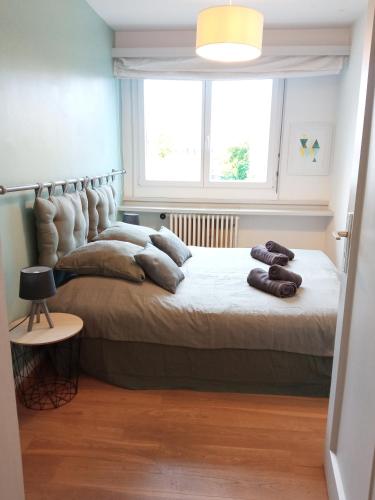 une chambre avec un grand lit avec des oreillers dessus dans l'établissement Rare à Colmar - Appartement Champ de Mars vue sur Parc - 70m2 - 2 chambres, à Colmar