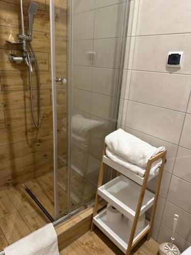 a shower with a glass door and a stool in a bathroom at Apartament Zielony Kołłątaja in Tomaszów Mazowiecki