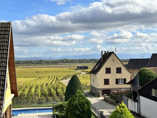 a view of a vineyard from a house at Gîte Le Manala in Bennwihr