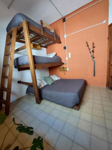 a bedroom with a bunk bed and a ladder at Hostel Ruta76 in Sierra de la Ventana