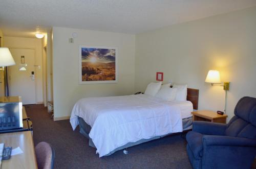 une chambre d'hôtel avec un lit et un canapé bleu dans l'établissement Hot Springs Hotel & Spa, à Thermopolis