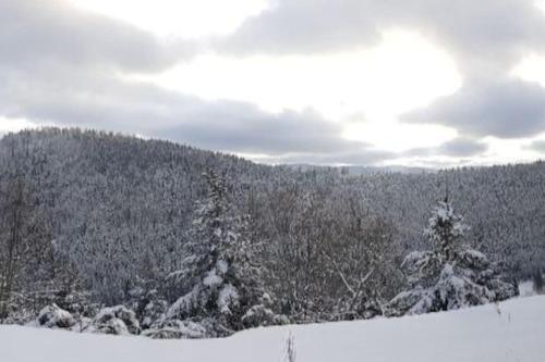 Gîtel'harmonie2 en invierno