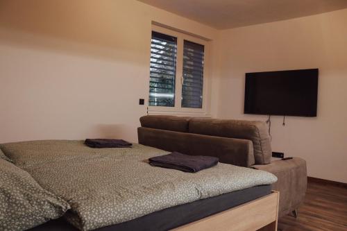 a bedroom with a bed and a flat screen tv at IQ Apartments in Prešov