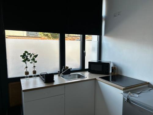 un comptoir de cuisine avec un évier et une fenêtre dans l'établissement Studio entier neuf, à Saint-Quentin