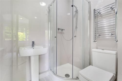 a bathroom with a shower and a toilet and a sink at Modern Designer Studio Flat London in London