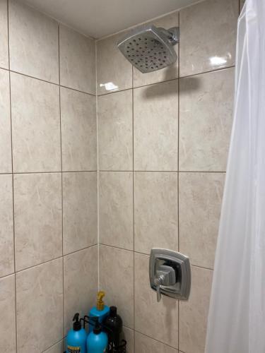a shower with a shower head and a shower curtain at Beautiful Lower level 2 bedroom aprt in Toronto