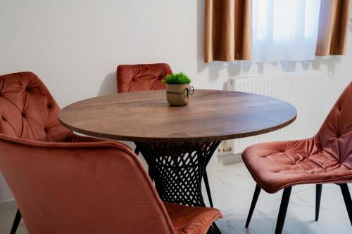 a table with chairs and a potted plant on it at Casa Paul in Braşov