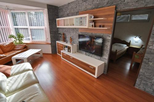 a living room with a fireplace and a television at APARTMENTS V+K in Tatranska Strba