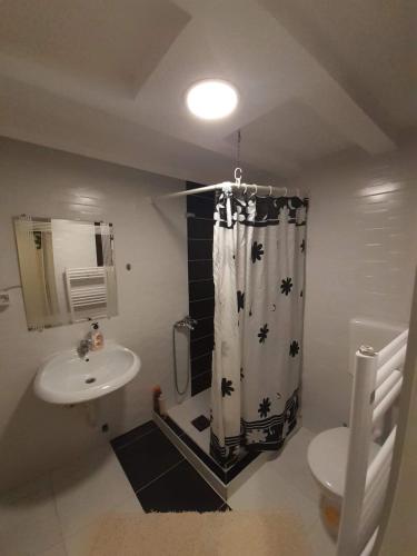 Koupelna v ubytování Apartmani Zaara