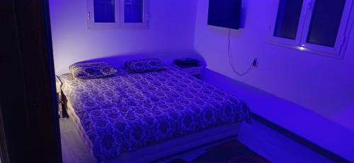 Легло или легла в стая в Dar redouane