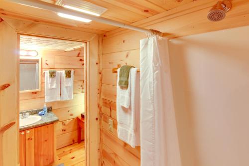 a bathroom with a shower and a sink at Hendersonville Creekside Cabin Near DuPont Forest in Hendersonville