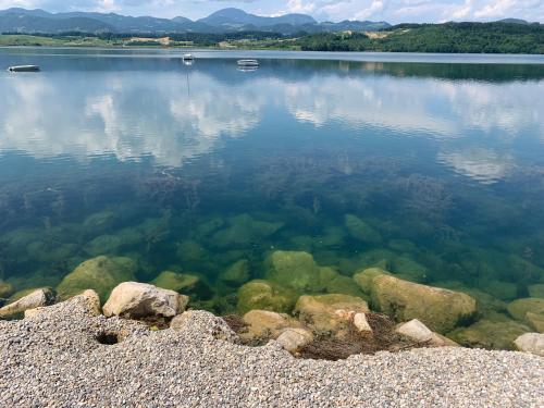 アパートメントの近くで見られる自然の景観