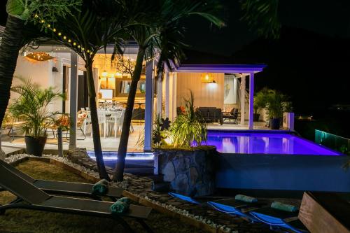 Der Swimmingpool an oder in der Nähe von Villa The SALT, pleine vue mer, piscine, jacuzzi