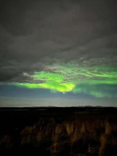 an aurora in the sky over a field at Selið Farm Stay - Guesthouse in Álftanes