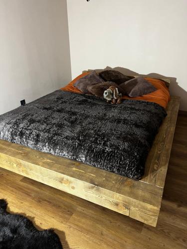 um cão deitado em cima de uma cama em Le secret d’Adam em Rouen
