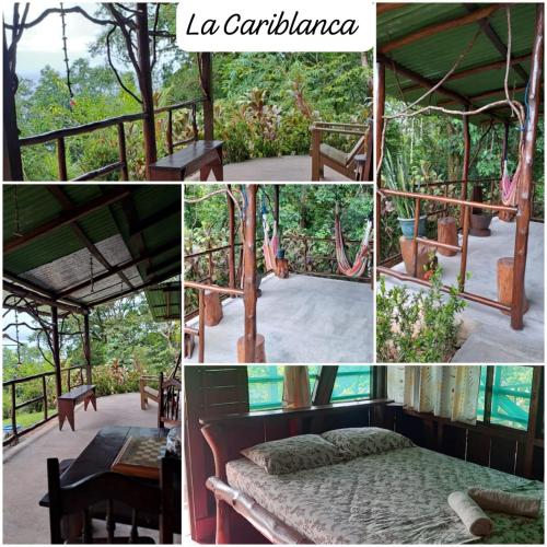 a collage of photos with a bed and a tent at Vista Alta Ecolodge Bahia Drake in Drake