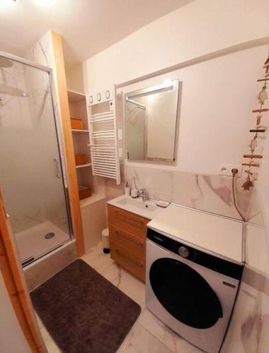 une petite salle de bain avec un lavabo et une douche dans l'établissement L'appartement LA PLAGE, à Le Portel