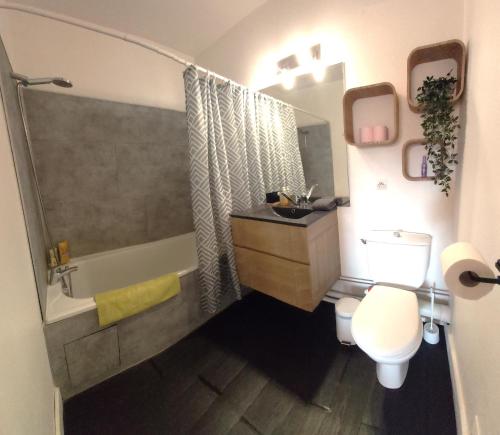 a bathroom with a tub and a toilet and a sink at Les Elfes - avec entrée autonome, jardin, parking privé & gourmandises offertes ! - in Toulouse