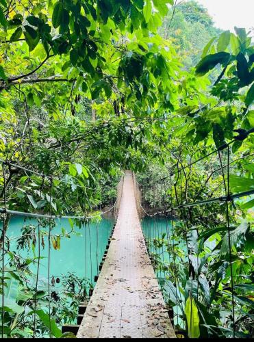 a bamboo bridge over a river in the jungle at Vista Alta Ecolodge Bahia Drake in Drake