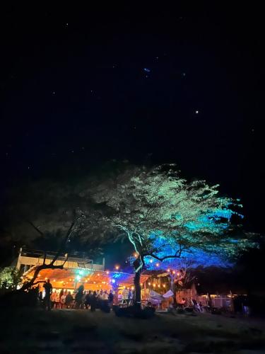 a tree with colorful lights on it at night at Popoyo Republic in Popoyo