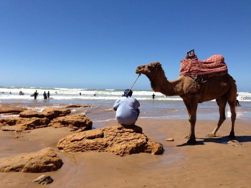 Un uomo seduto su un cammello sulla spiaggia di Surf Lessons Experience with Hassi ad Agadir