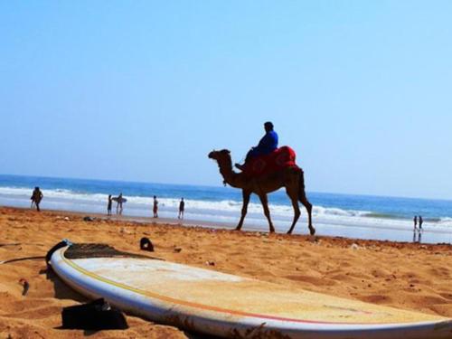 a person riding a camel on the beach with a surfboard at Surf Lessons Experience with Hassi in Agadir