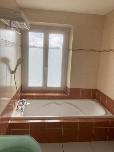 une baignoire dans une salle de bain avec une fenêtre dans l'établissement Studio « Saint-Petersbourg » à Avignon, à Avignon