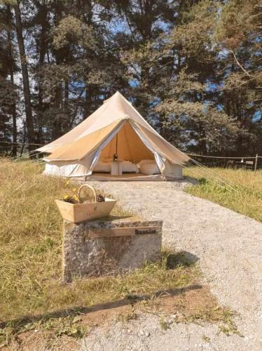a tent in a field with trees in the background at A Leira 116 Cabañas de diseño in Sarria