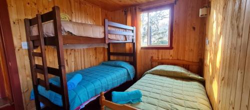 1 Schlafzimmer mit 2 Etagenbetten in einer Hütte in der Unterkunft Cabañas Susurros del Bosque in Ancud