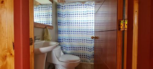 a bathroom with a white toilet and a sink at Cabañas Susurros del Bosque in Ancud