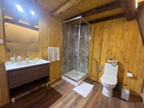 a bathroom with a toilet and a sink and a shower at Alma Andina in Puelo