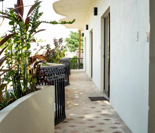 a hallway with benches and plants in a building at hotel stella maris tulum in Tulum