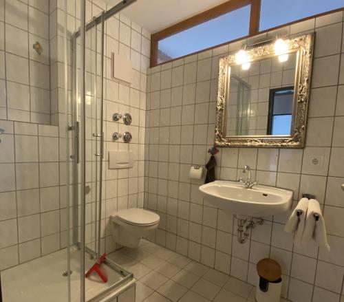 uma casa de banho com um WC, um lavatório e um espelho. em Weberhof em Samerberg