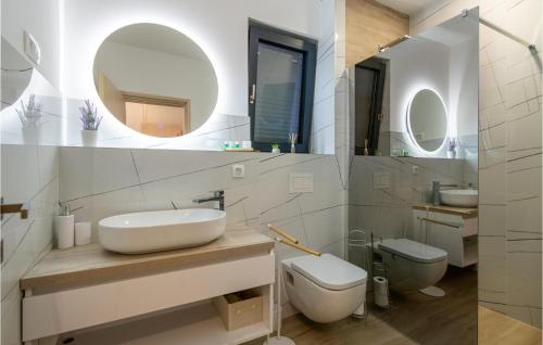 een badkamer met een wastafel, een toilet en spiegels bij Cozy Home In Rebici With Outdoor Swimming Pool in Rebići
