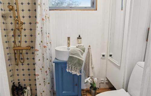 La salle de bains est pourvue d'un lavabo bleu et d'une douche. dans l'établissement Gorgeous Home In Slagelse With Wifi, à Slagelse