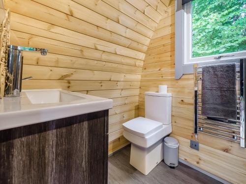 a bathroom with a toilet and a sink and a window at Robin - Uk45516 in Humberstone