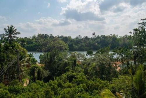 Ein Fluss mitten im Dschungel mit Bäumen in der Unterkunft lake paradise in Habaraduwa Central