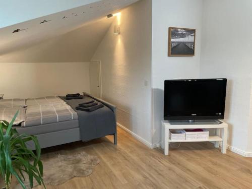Schlafzimmer mit einem Bett und einem Flachbild-TV in der Unterkunft Modernes Apartment in Oldenburg in Oldenburg