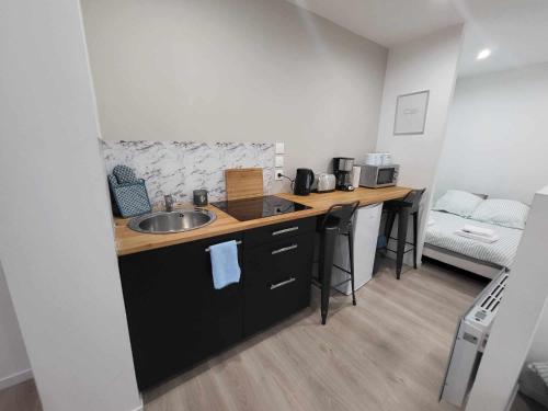 eine kleine Küche mit einer Spüle und einer Arbeitsplatte in der Unterkunft Appartement place du Canada in Valenciennes