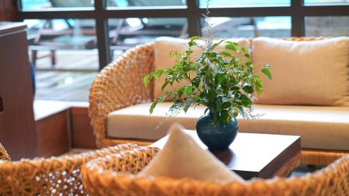 a table with a vase with a plant on it at CHiEM HoiAn - The Beachside Boutique Hotel & Villa in Hoi An