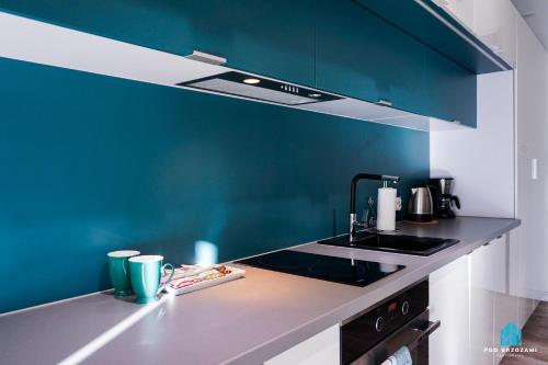 a kitchen with a sink and a blue wall at Pod Brzozami Apartamenty 5 Mórz in Ustronie Morskie