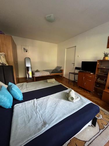 a bedroom with a large bed with blue sheets at Apartman Sasha 2 in Belgrade