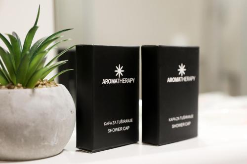 two black boxes sitting next to a potted plant at Grand Park rooms & apartments in Čačak