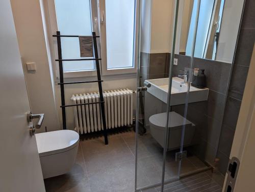a bathroom with a shower and a toilet and a sink at Refurbished 1BR Apartment in Limpertsberg in Luxembourg