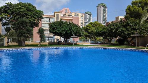 PINTOR SOROLLA sea view apartment photo 18
