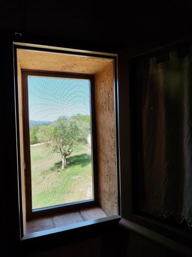 a window with a view of a tree in a field at The Monastery - St Antimo in Monterchi