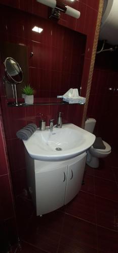 uma casa de banho com um lavatório branco e um WC. em Aпартамент за гости Mари em Kyustendil