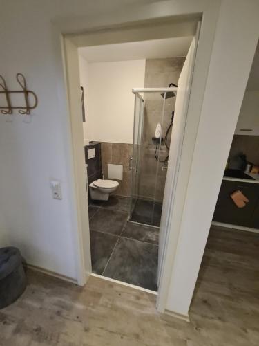 ein Bad mit einer Dusche und einem WC in der Unterkunft Apartment für Monteure Nr 1 in Kassel