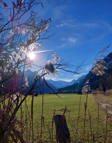 a field of grass with the sun in the background at Katja´s Ferienwohnung in Trins